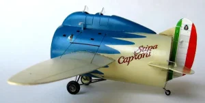 Stipa Caproni