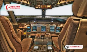 Mollymawk-Psikometri-Testi